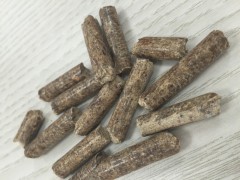 供應(yīng)優(yōu)質(zhì)木屑顆粒-- 江蘇金梧能源管理有限公司