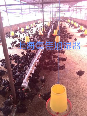 養雞棚專用加濕器-養雞棚用的加濕器-- 上海集佳空氣凈化設備有限公司