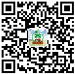 圖片134