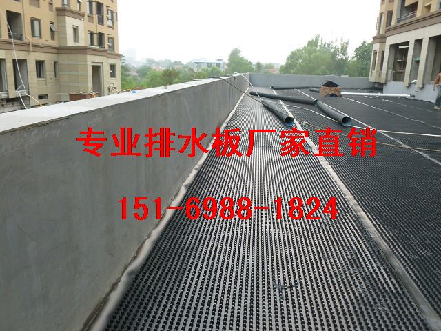 臨夏(地下室塑料排水板嘉峪關(guān))車庫頂板排水板-- 泰安市綠泰建材有限公司
