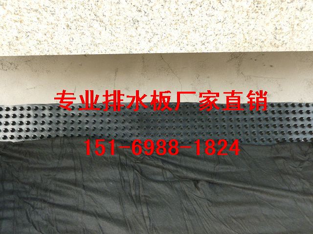 天津2.5公分蓄排水板北京\車庫種植蓄排水板-- 泰安市綠泰建材有限公司