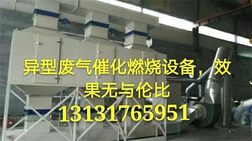 惡臭氣體消除必備廢氣催化燃燒設(shè)備-- 泊頭市鼎科環(huán)保設(shè)備有限公司
