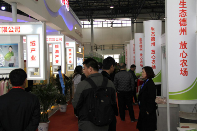 圖片15