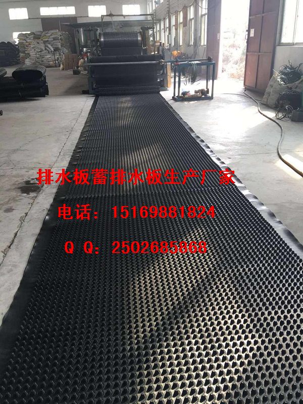 瀘州%%成都2公分高車庫排水板價格直銷15169881824-- 泰安市澤瑞土工材料有限公司