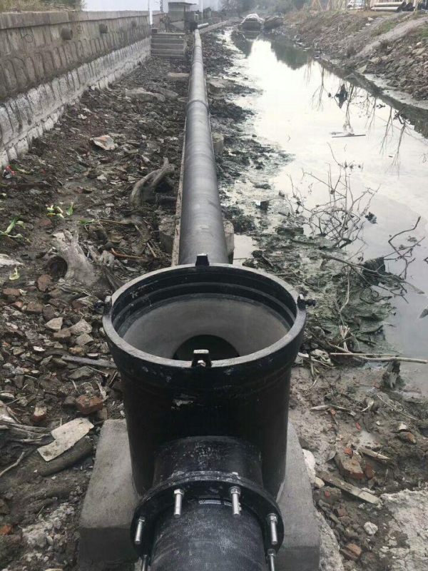 圖片2
