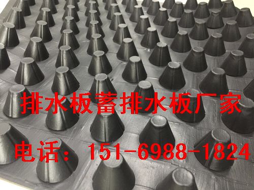 吉安蓄排水板2.5公分(貴州)種植(車庫)綠化排水板-- 泰安市澤瑞土工材料有限公司