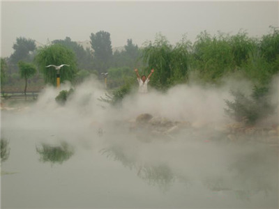 深圳園林人造霧景觀工程怎么樣-- 深圳通寶環境技術有限公司