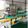 優選自動裝箱機,上海自動裝箱機,禮尼