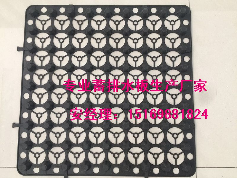 阻根穿刺@武漢車庫2公分蓄排水板15169881824-- 泰安市澤瑞土工材料有限公司