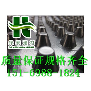(優(yōu)質(zhì)廠(chǎng)家)2公分上海車(chē)庫(kù)綠化種植排
