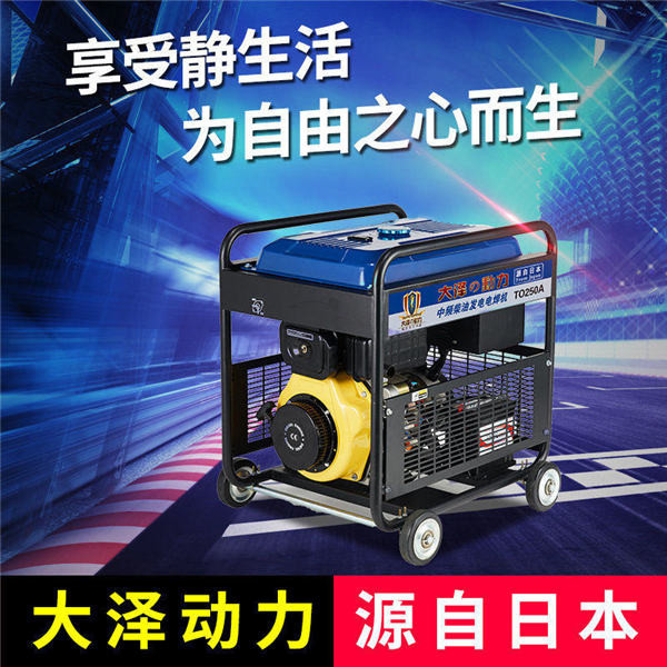 大澤動(dòng)力250A柴油發(fā)電電焊機(jī)TO250A-- 上海豹羅實(shí)業(yè)有限公司