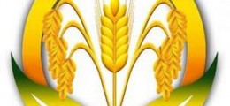 2019第十九屆中國北京大米雜糧博覽會