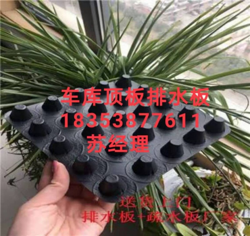 塑料凸片排水板北京2公分車庫排水板價格-- 泰安市澤瑞蓄排水土工材料有限公司