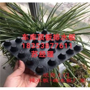 塑料凸片排水板北京2公分車庫排水板