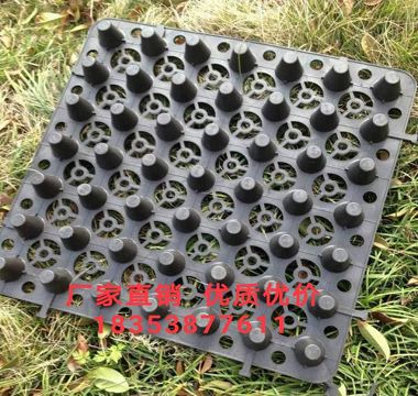 5公分植草格衢州車庫黑色達(dá)標(biāo)排水板-- 泰安市澤瑞蓄排水土工材料有限公司
