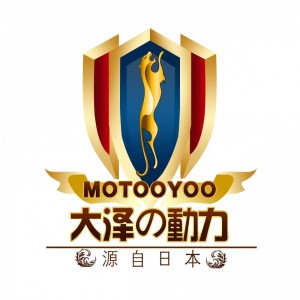 大澤動(dòng)力