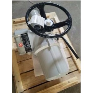 rotork羅托克 IM20MOW5-40角行程電動