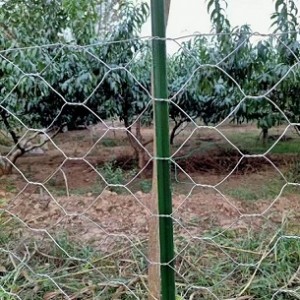 光伏圍欄.光伏區圍網.光熱電站圍欄